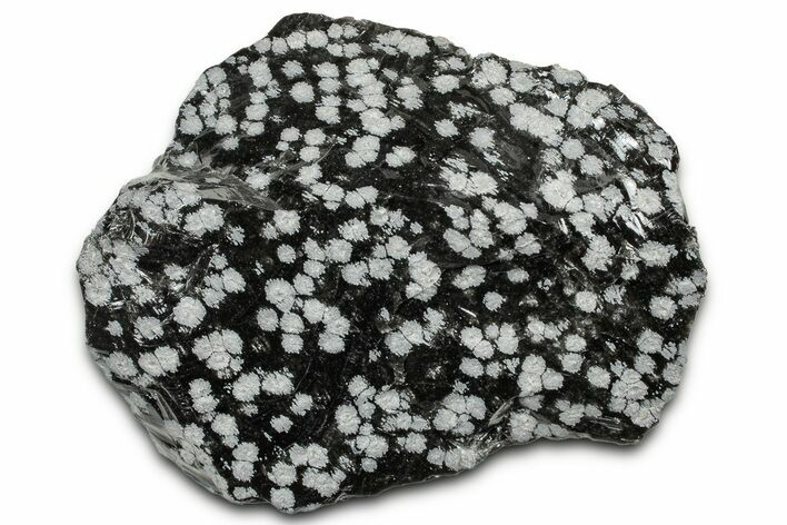 Snowflake Obsidian Section - Utah #327115
